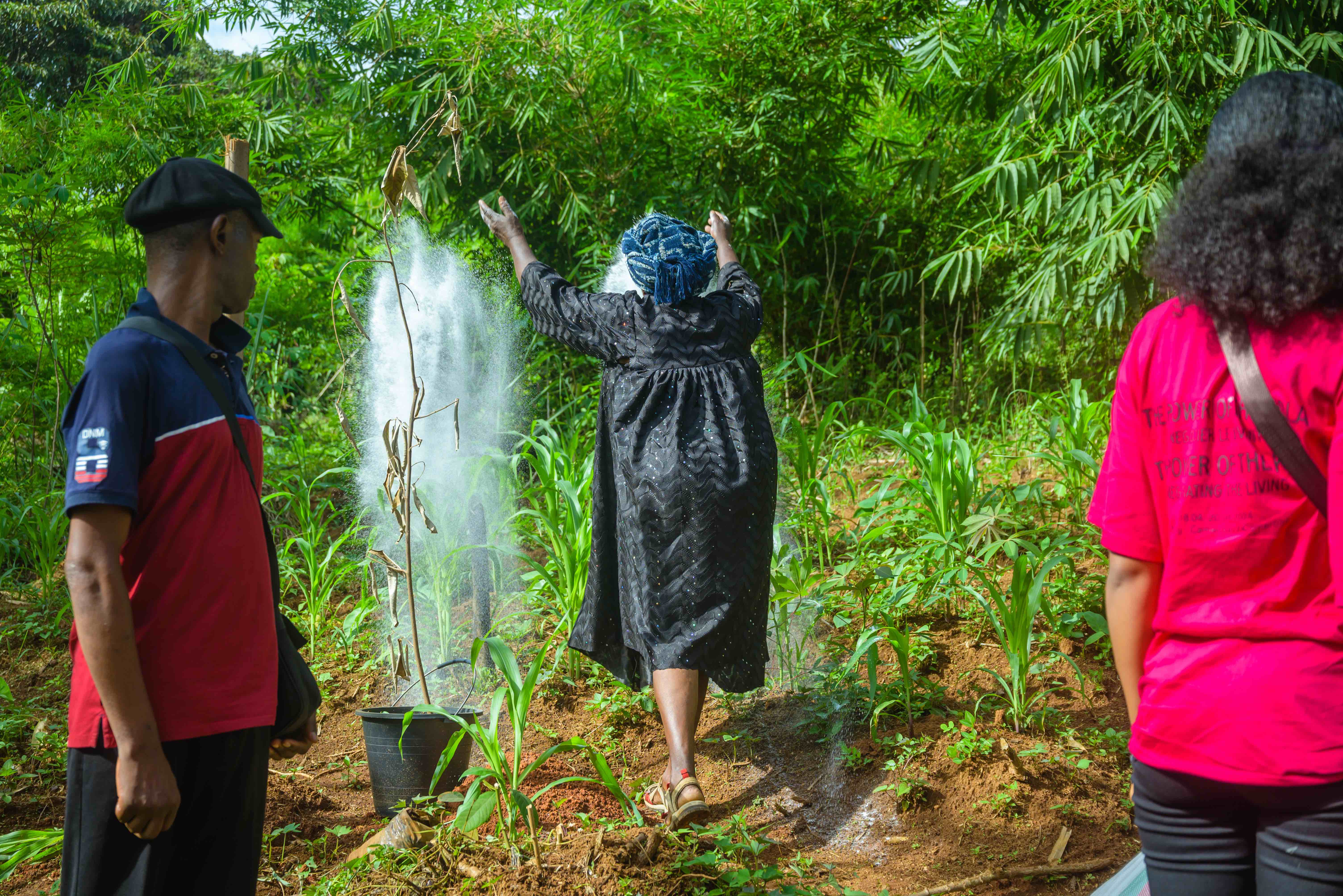 Foto: ,The Power of the Kola - negotiating the living’ © Astrid S. Klein 2024, Sidoine Mbogni Yonta